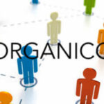 Tabelle di associabilità per la costituzione delle cattedre orario esterne delle province di Caltanissetta ed Enna – A.S. 2026/2027